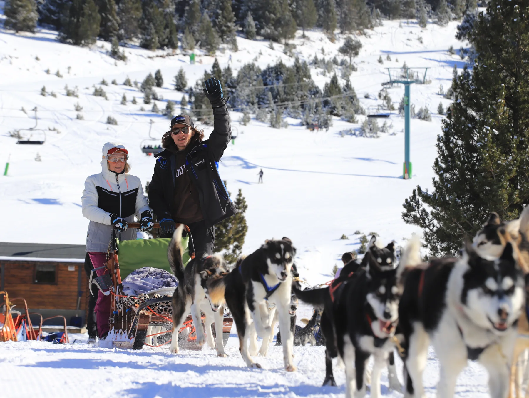 Guest experience on a dog-sled tour