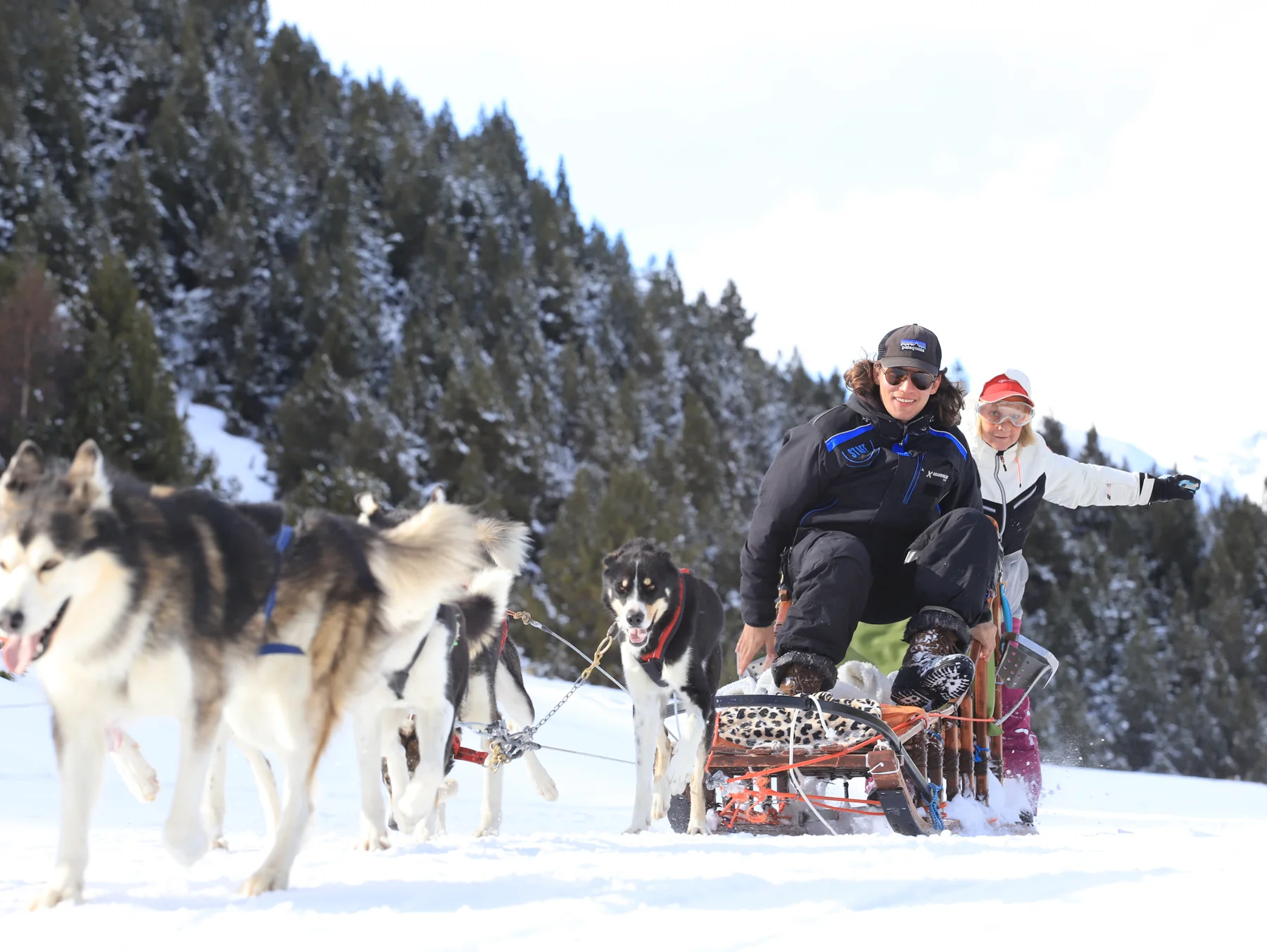 Guest experience on a dog-sled tour