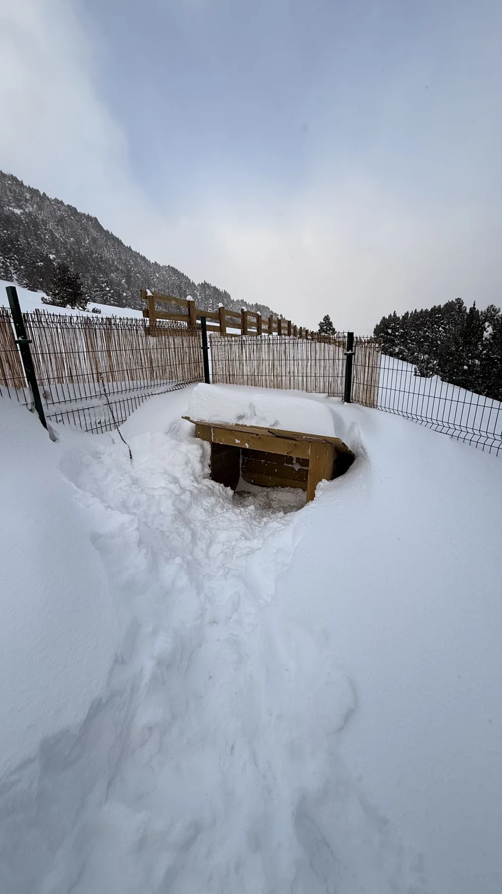 Snow-covered access around the refuge