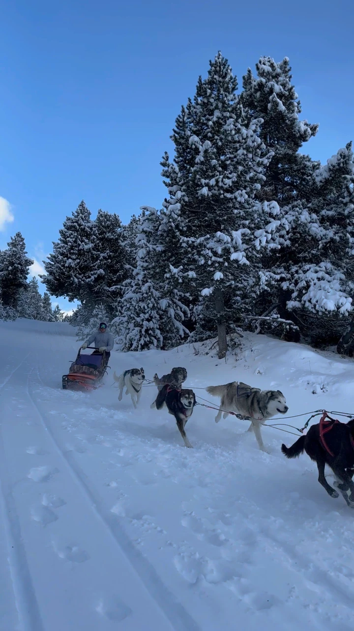 Dogsledding 